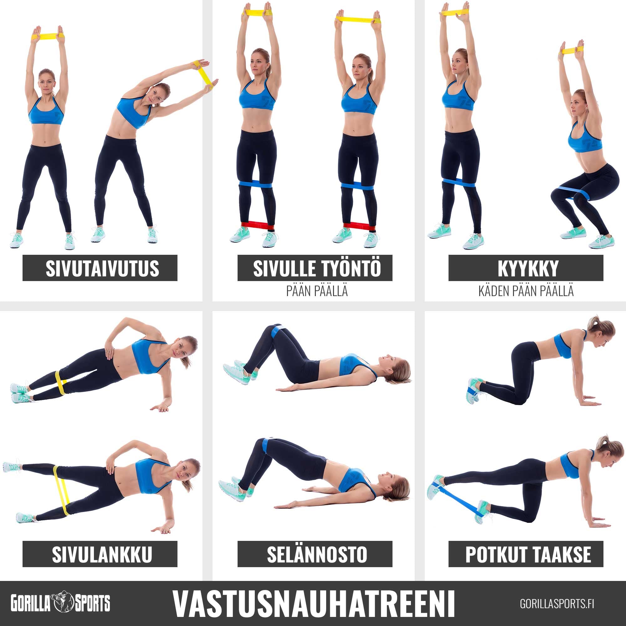 Vastupanu kummilint 208 cm eri tugevustega