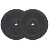 Vinüülraskuskettad 2 x 15 kg, 30 mm