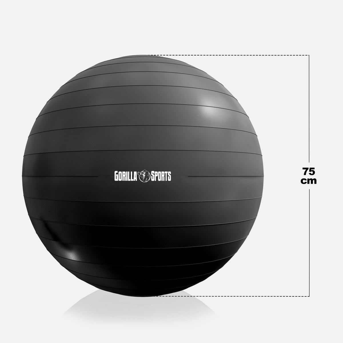 Võimlemispall 55 cm pumbaga