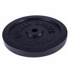 Malmist raskusketas 30 kg 30 mm