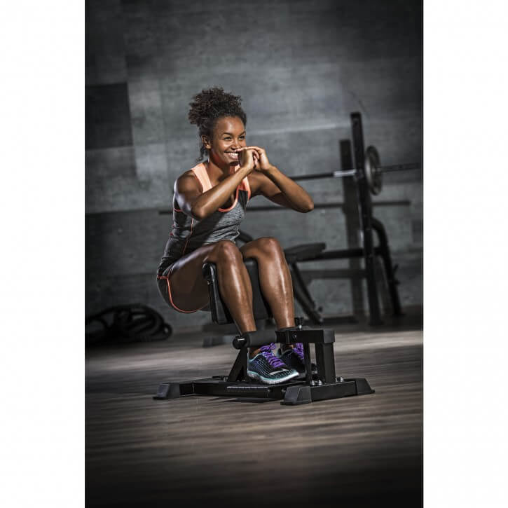 Reguleeritav sissy squat pink kodujõusaali