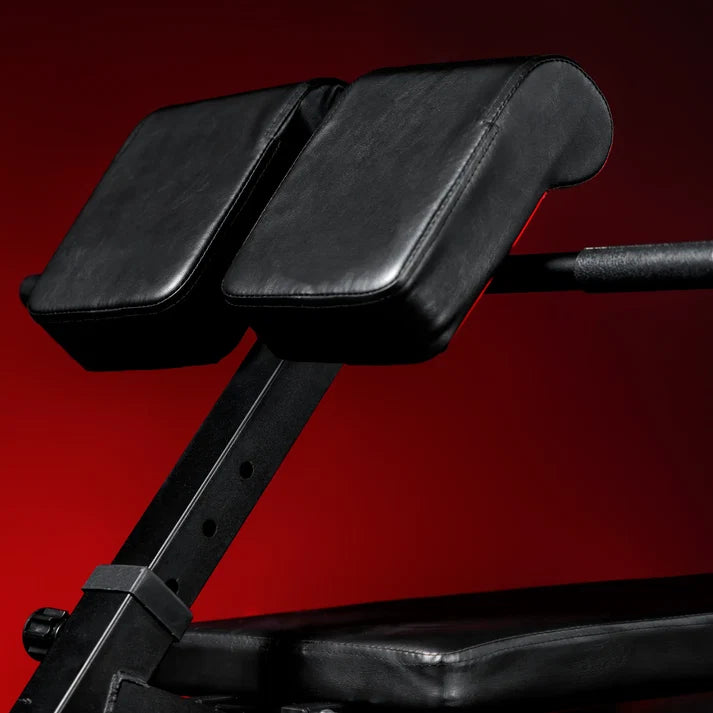 Reguleeritav seljapink max 250 kg